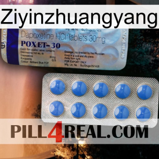 Ziyinzhuangyang 39